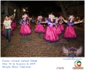 Carnaval Cultural 14.02.15-30