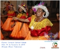 Carnaval Cultural 14.02.15-36