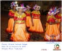 Carnaval Cultural 14.02.15-37