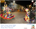 Carnaval Cultural 14.02.15-56