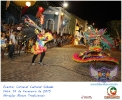 Carnaval Cultural 14.02.15-58