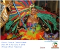 Carnaval Cultural 14.02.15-60