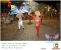 Carnaval Cultural 14.02.15-65