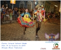 Carnaval Cultural 14.02.15-66