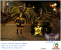 Carnaval Cultural 14.02.15-74