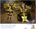Carnaval Cultural 14.02.15-76