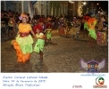 Carnaval Cultural 14.02.15-77