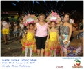 Carnaval Cultural 14.02.15-86