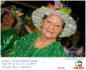 Carnaval Cultural 14.02.15-92