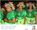 Carnaval Cultural 14.02.15-93