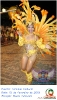 Carnaval Cultural 15.02.15-120
