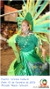 Carnaval Cultural 15.02.15-171