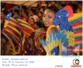 Carnaval Cultural 15.02.15-99