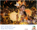 Carnaval Cultural 17.02.15-169