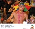 Carnaval Cultural 17.02.15-255