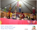 Carnaval Cultural 17.02.15-278