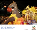 Carnaval Cultural 17.02.15-76