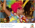 Carnaval Cultural 17.02.15-84