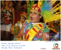 Carnaval Cultural 17.02.15-87