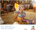 Carnaval Cultural 17.02.15-97