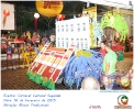 Carnaval Cultural 16.02.15-117