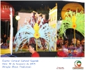 Carnaval Cultural 16.02.15-118