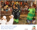 Carnaval Cultural 16.02.15-145