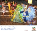 Carnaval Cultural 16.02.15-167