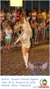Carnaval Cultural 16.02.15-178