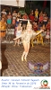 Carnaval Cultural 16.02.15-181
