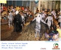 Carnaval Cultural 16.02.15-186