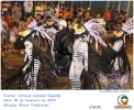 Carnaval Cultural 16.02.15-188
