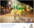 Carnaval Cultural 16.02.15-199