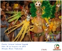 Carnaval Cultural 16.02.15-203