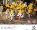 Carnaval Cultural 16.02.15-20