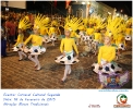 Carnaval Cultural 16.02.15-22