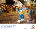 Carnaval Cultural 16.02.15-25