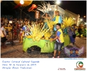 Carnaval Cultural 16.02.15-38