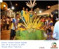 Carnaval Cultural 16.02.15-40
