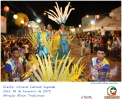 Carnaval Cultural 16.02.15-41