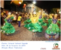Carnaval Cultural 16.02.15-47