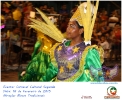 Carnaval Cultural 16.02.15-52