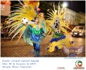 Carnaval Cultural 16.02.15-5