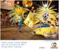 Carnaval Cultural 16.02.15-6