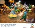 Carnaval Cultural 16.02.15-82