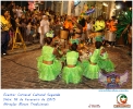 Carnaval Cultural 16.02.15-84