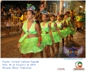 Carnaval Cultural 16.02.15-88