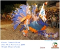 Carnaval Cultural 15.02.15-17