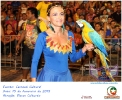 Carnaval Cultural 15.02.15-91