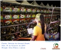 Domingo de Carnaval 15.02.15-82